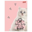 Zeszyt A5 PURRFECT MOMENTS 60k. 70g krata Unipap