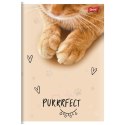 Zeszyt A5 PURRFECT MOMENTS 60k. 70g krata Unipap