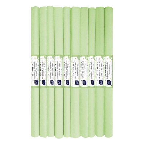 Bibuła marszczona PASTEL 39 pistacjowy Interdruk