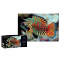 Puzzle Colourf.Nature 11 Mandarinfish 250 el. Interdruk