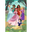 Puzzle Princess PREMIUM PLUS KIDS Czarujące przyjęcie Trefl (15438)