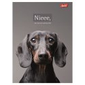 Zeszyt A4 Doggy Moods 60k. 70g krata Unipap