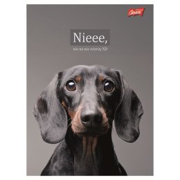 Zeszyt A4 Doggy Moods 60k. 70g krata Unipap