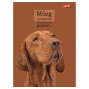 Zeszyt A4 Doggy Moods 60k. 70g krata Unipap