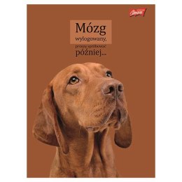 Zeszyt A4 Doggy Moods 60k. 70g krata Unipap