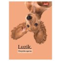 Zeszyt A4 Doggy Moods 60k. 70g krata Unipap