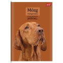 Zeszyt A4 Doggy Moods 60k. 70g krata Unipap