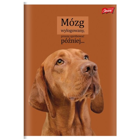 Zeszyt A4 Doggy Moods 60k. 70g krata Unipap