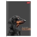 Zeszyt A4 Doggy Moods 60k. 70g krata Unipap