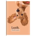 Zeszyt A4 Doggy Moods 60k. 70g krata Unipap