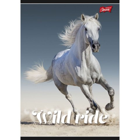Zeszyt A5 Mix 96k. 70g krata [mm:] 148x210 Unipap