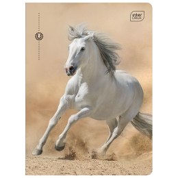 Zeszyt A5 UV GIRLS 16k. 70g krata Interdruk