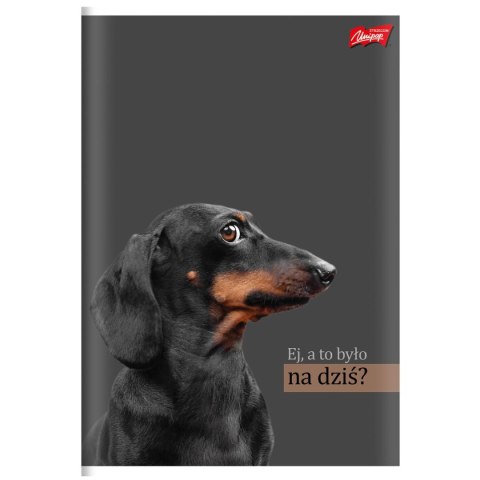 Zeszyt Unipap