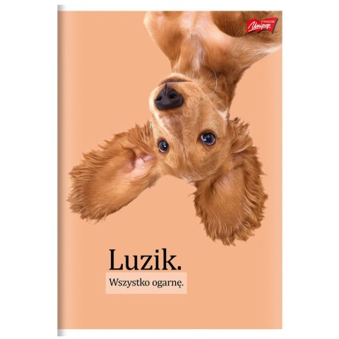 Zeszyt Unipap