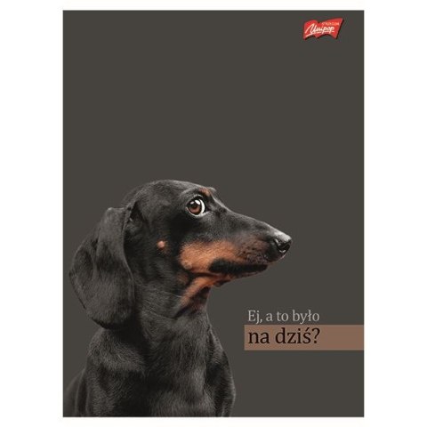Zeszyt Unipap